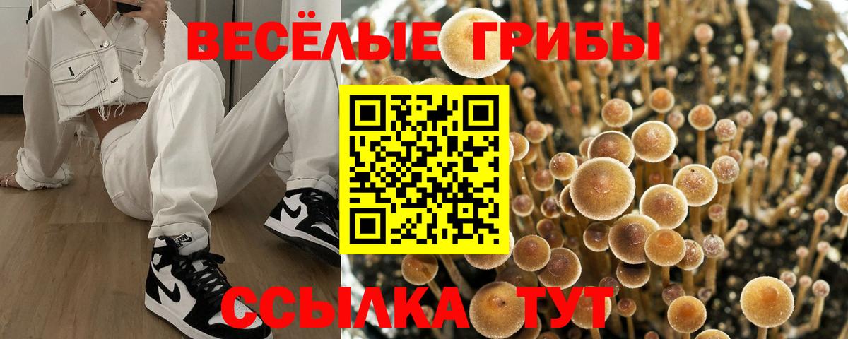 Галлюциногенные грибы ЛСД Кыштым