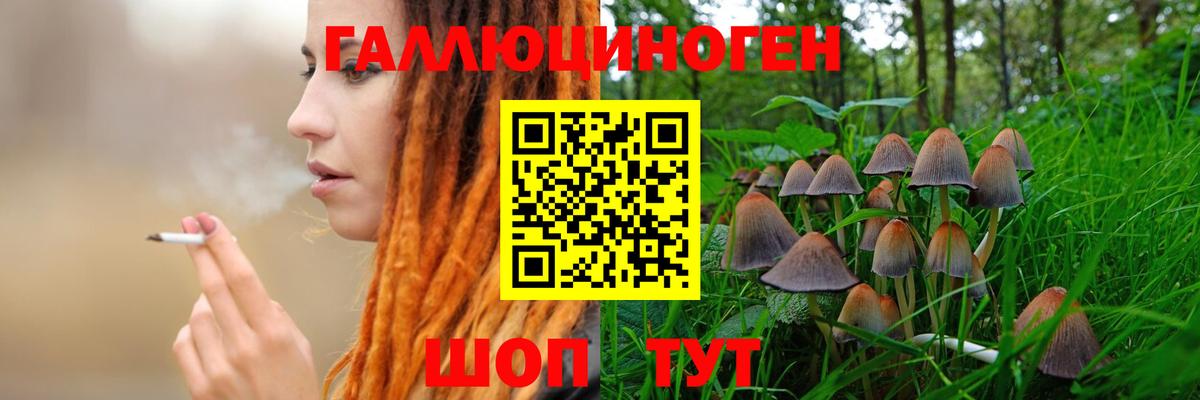 Кыштым  Галлюциногенные грибы GOLDEN TEACHER  Вход с VPN  Псилоцибиновые грибы мухоморы 
